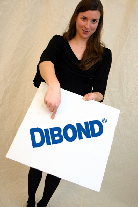 DIBOND® 2050 x 4050 x 4 mm Aluverbundplatte