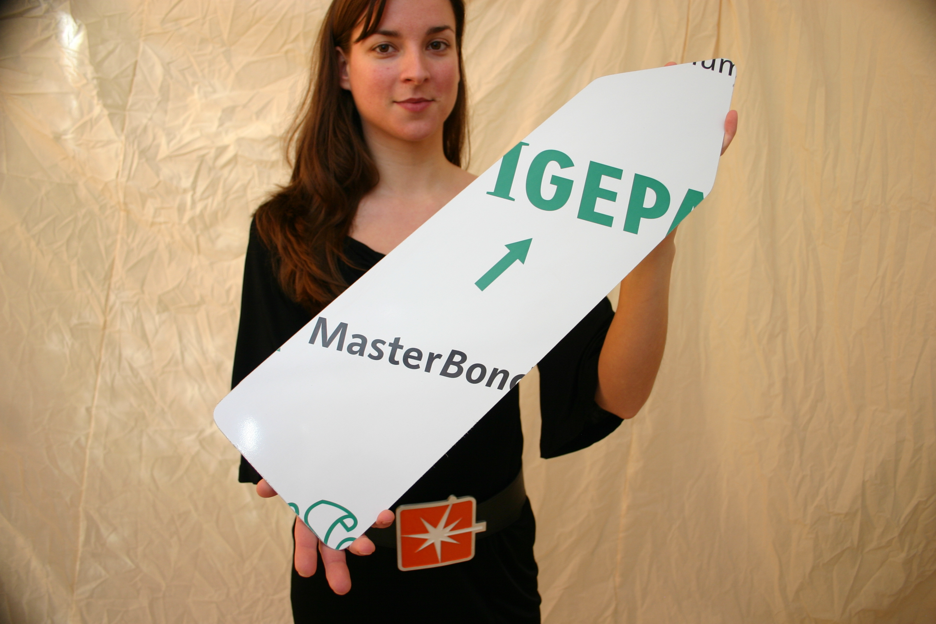 IMG_0085 10 Stück im Set Pfeilschild, 755 x 196 x 3mm, CNC-gefräst, VZ 432
