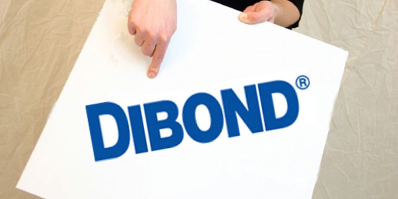 https://www.manfred-jung.com/search?sSearch=dibond